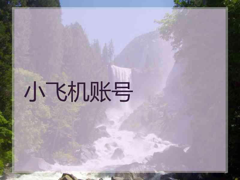 小飞机账号
