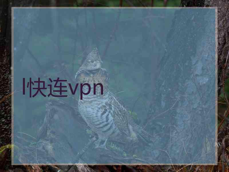 l快连vpn