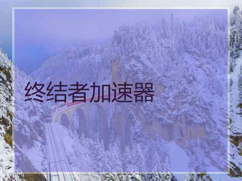 终结者加速器