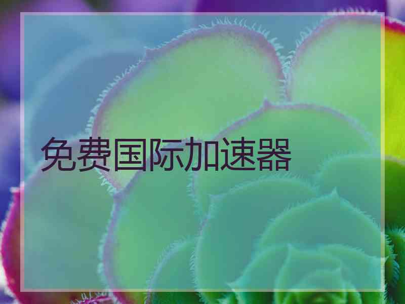 免费国际加速器