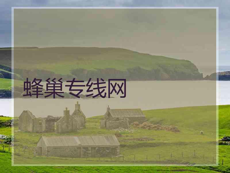 蜂巢专线网