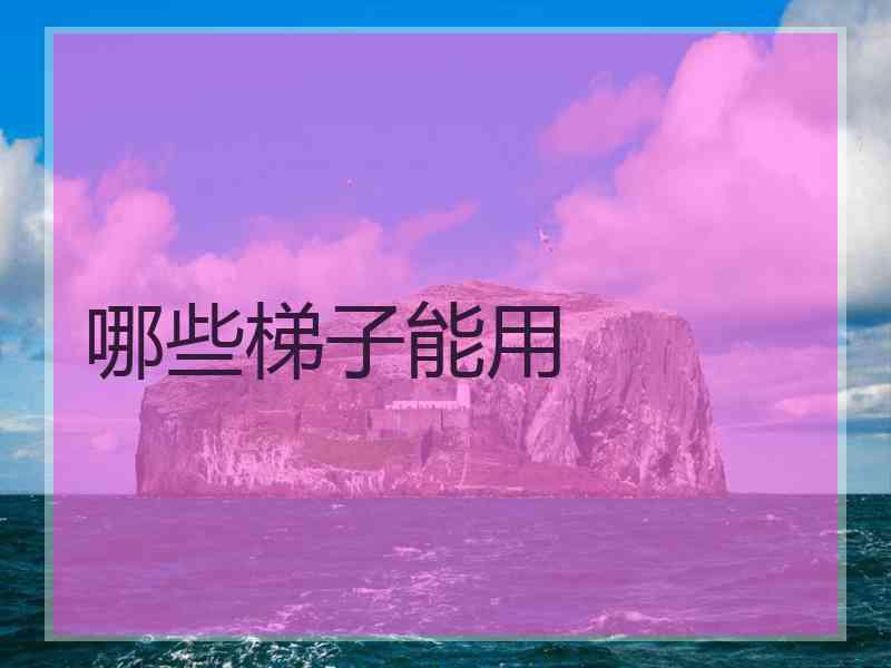 哪些梯子能用