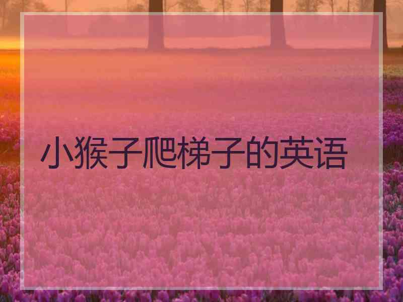 小猴子爬梯子的英语