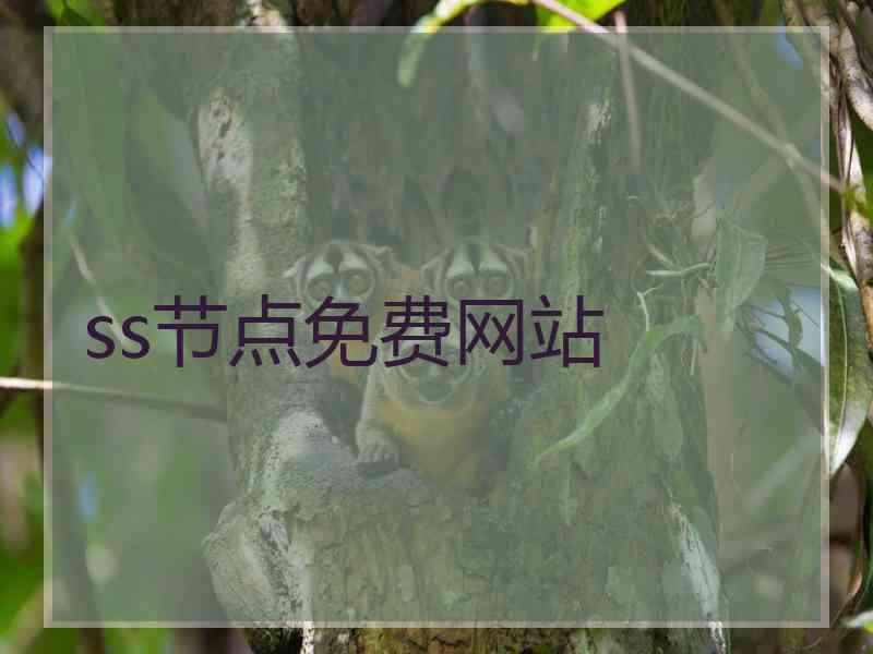 ss节点免费网站
