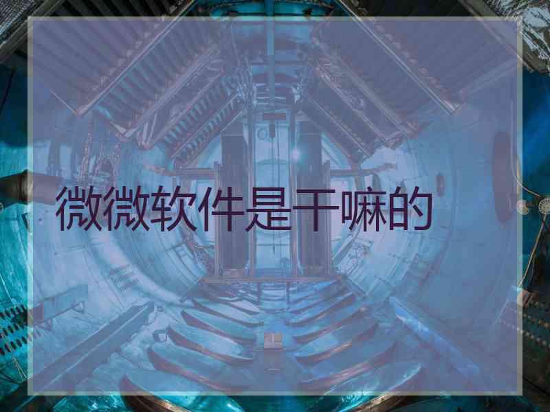 微微软件是干嘛的