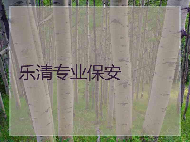 乐清专业保安
