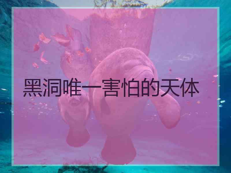 黑洞唯一害怕的天体