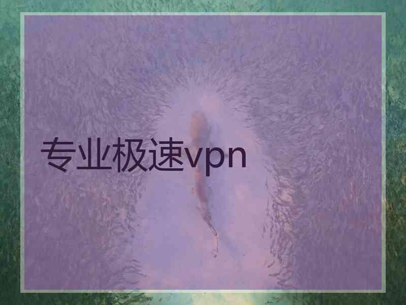 专业极速vpn