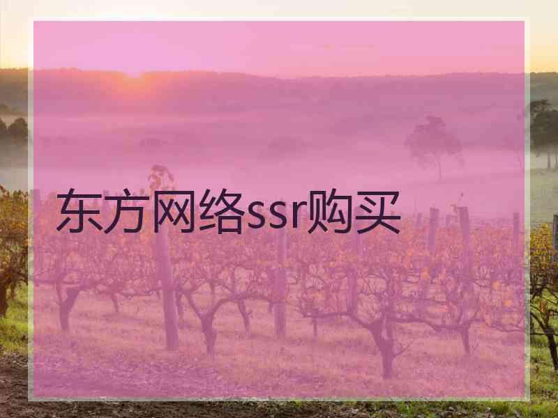 东方网络ssr购买