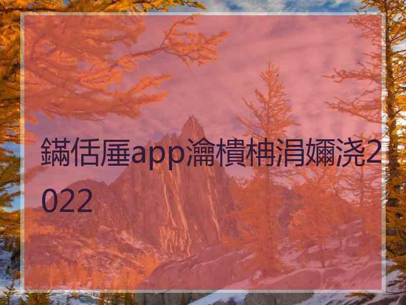 鏋佸厜app瀹樻柟涓嬭浇2022