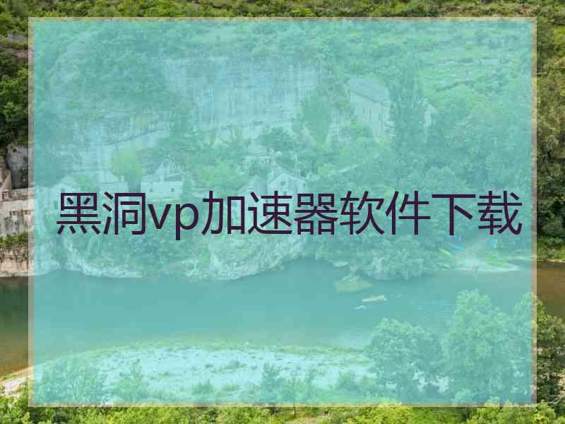 黑洞vp加速器软件下载