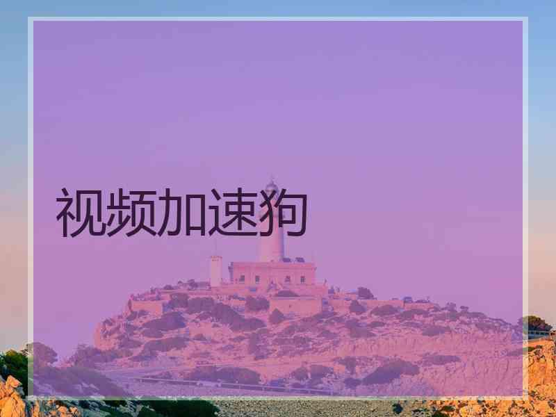 视频加速狗