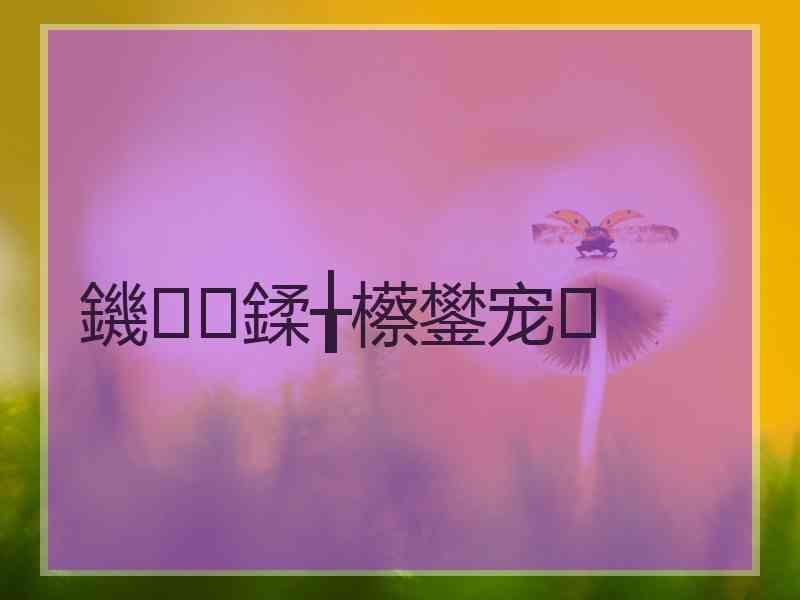 鐖鍒╁櫒鐢宠