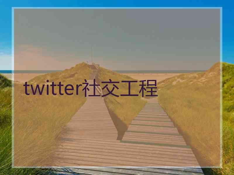 twitter社交工程
