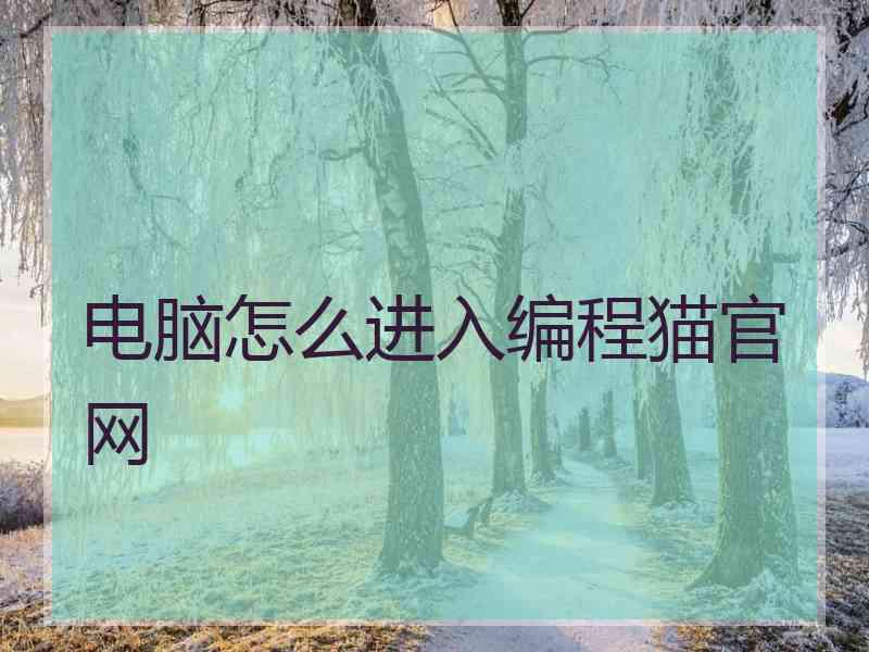 电脑怎么进入编程猫官网