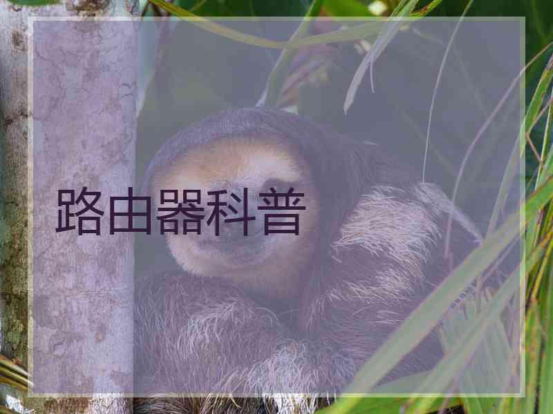 路由器科普