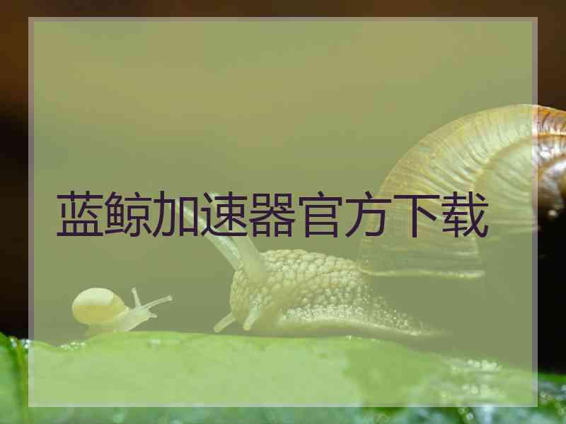 蓝鲸加速器官方下载