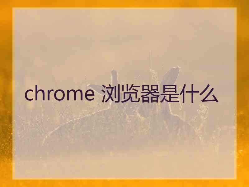 chrome 浏览器是什么