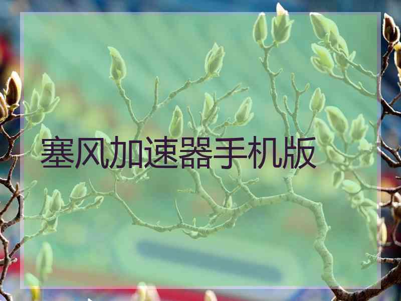 塞风加速器手机版