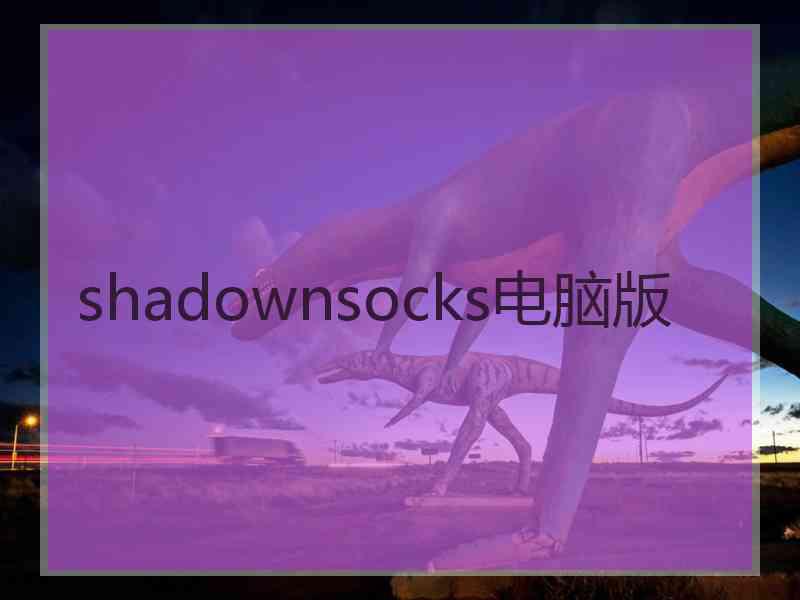 shadownsocks电脑版