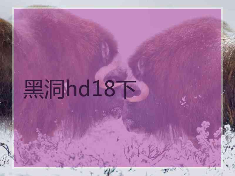 黑洞hd18下