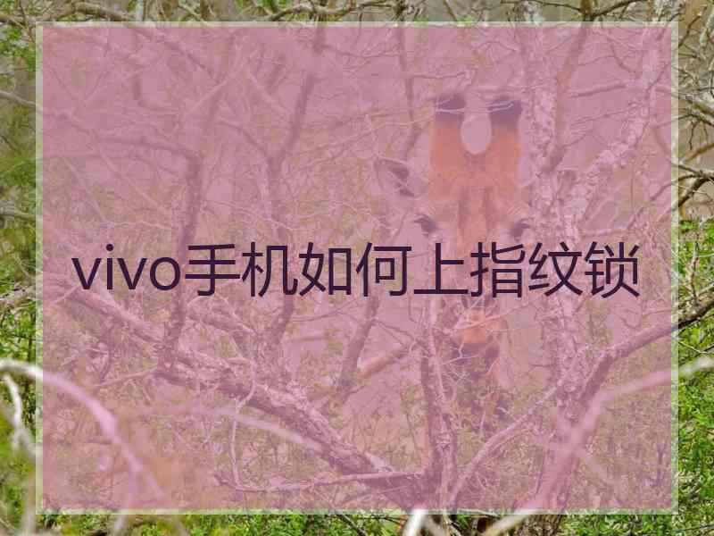 vivo手机如何上指纹锁