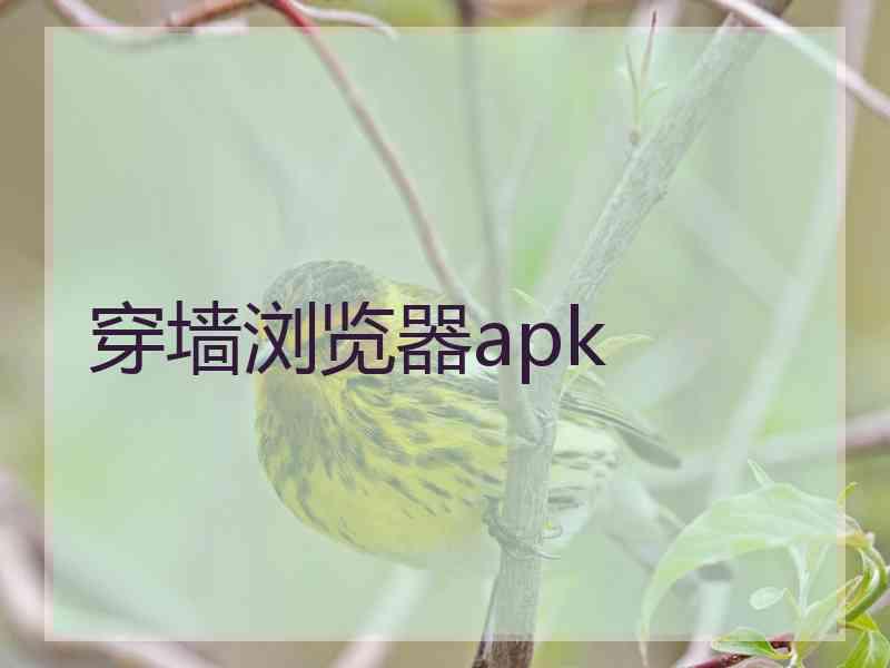 穿墙浏览器apk