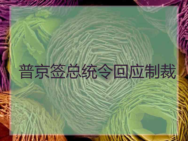 普京签总统令回应制裁