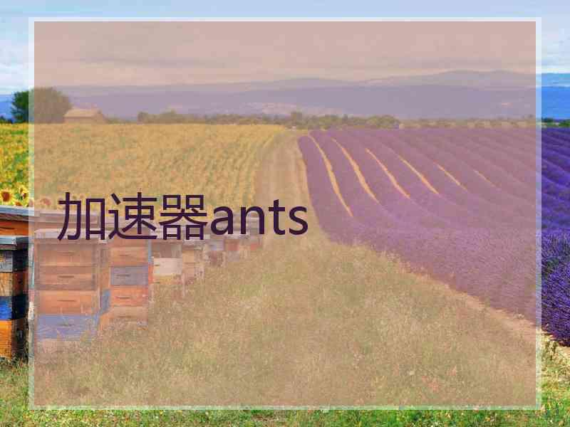 加速器ants