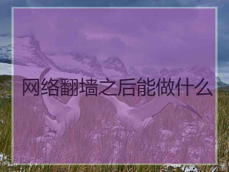 网络翻墙之后能做什么