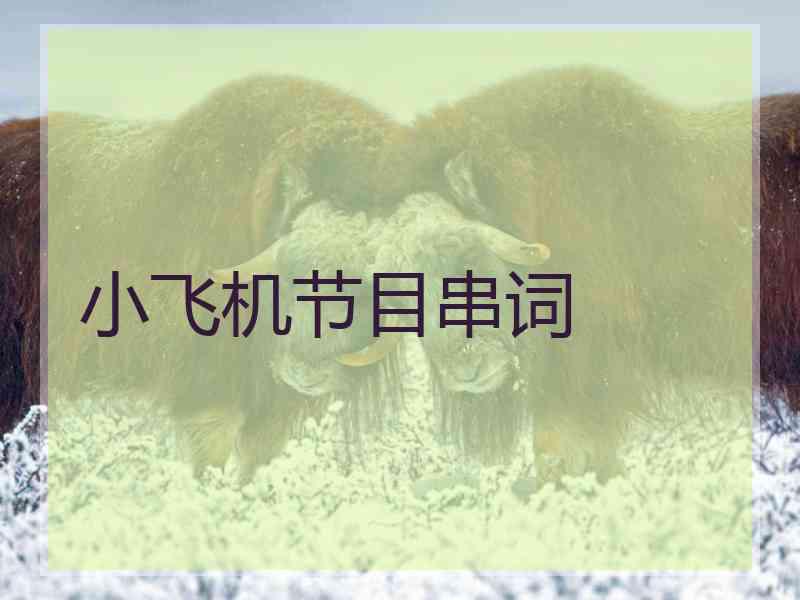 小飞机节目串词