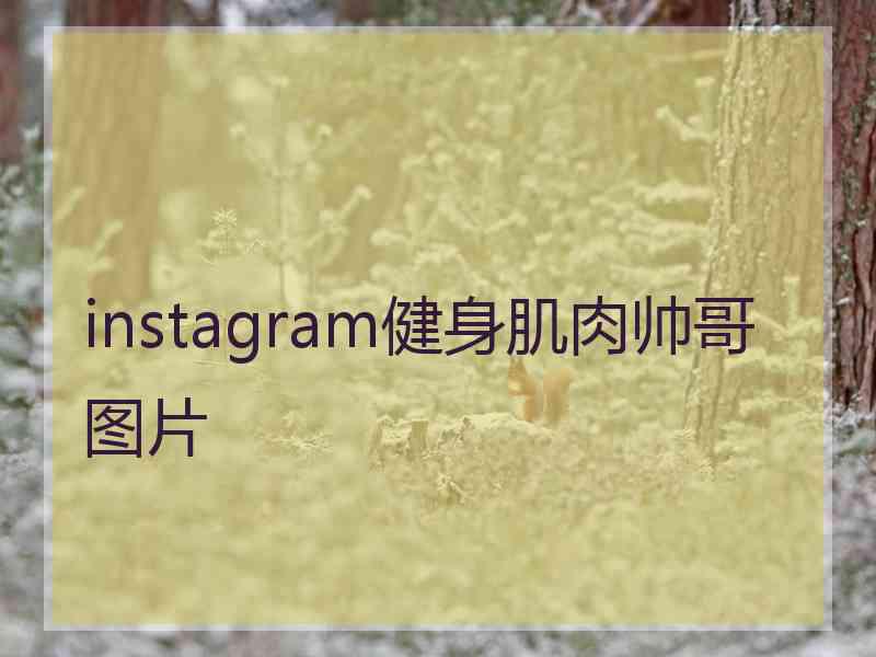 instagram健身肌肉帅哥图片