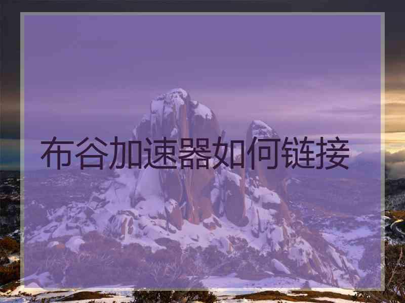 布谷加速器如何链接