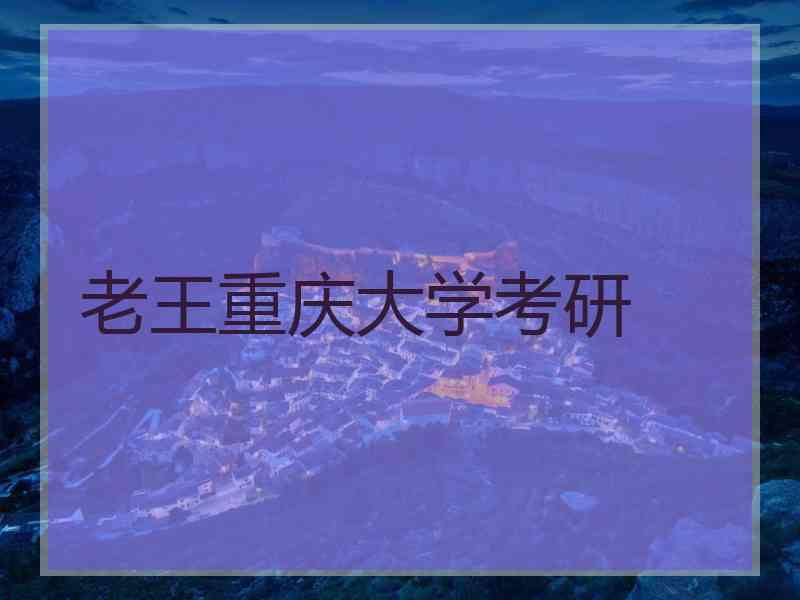 老王重庆大学考研
