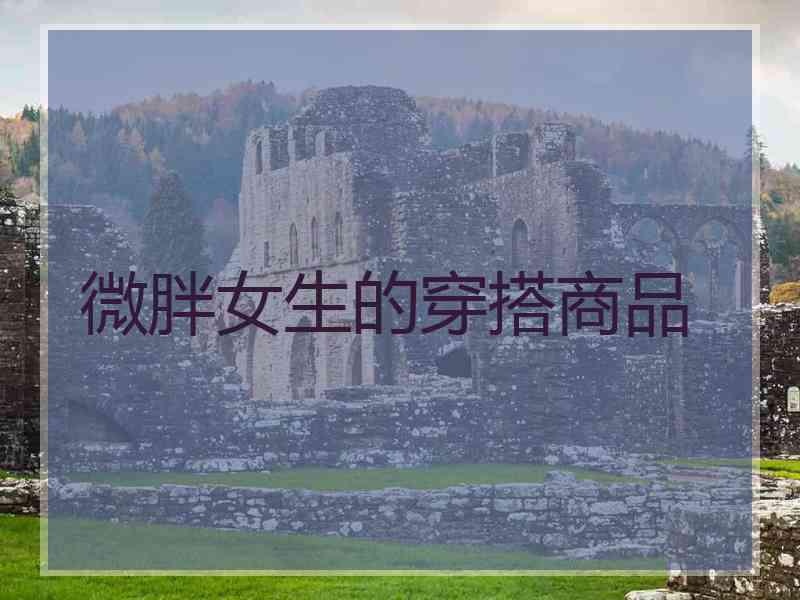 微胖女生的穿搭商品