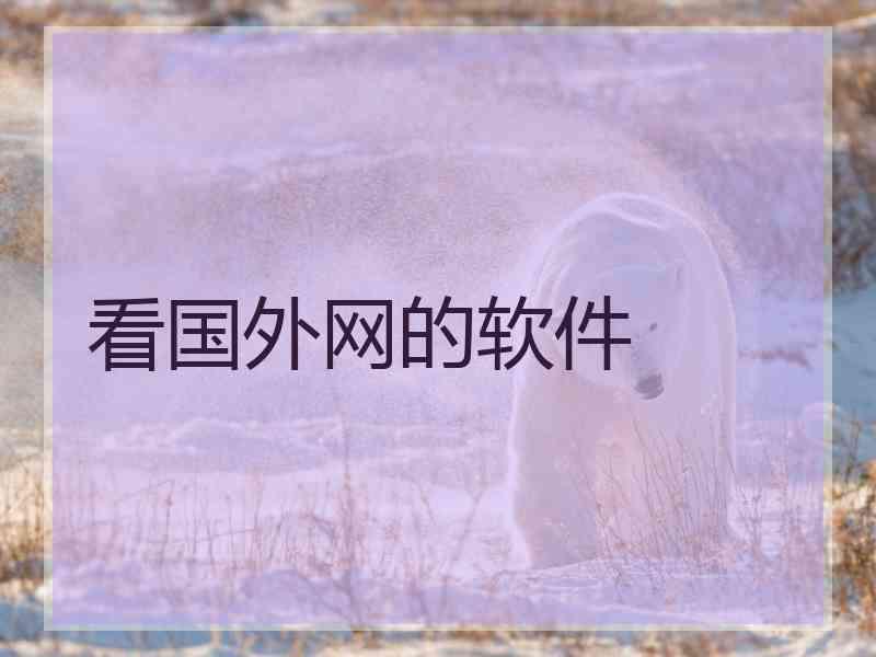 看国外网的软件