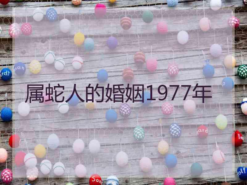 属蛇人的婚姻1977年