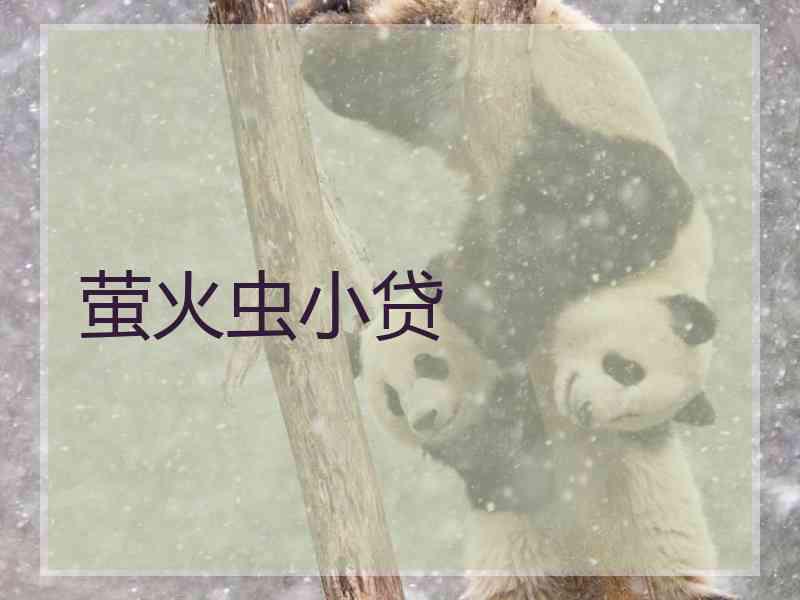 萤火虫小贷