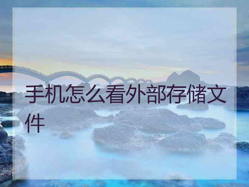 手机怎么看外部存储文件