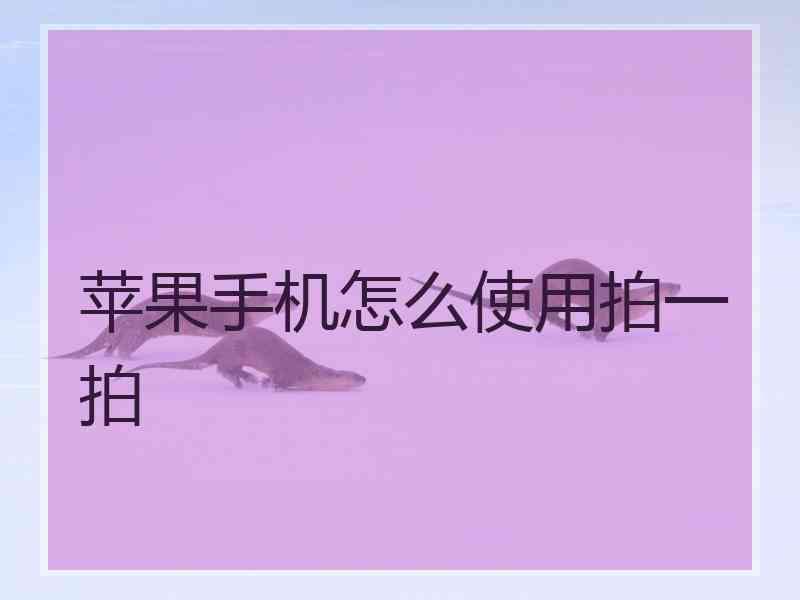 苹果手机怎么使用拍一拍