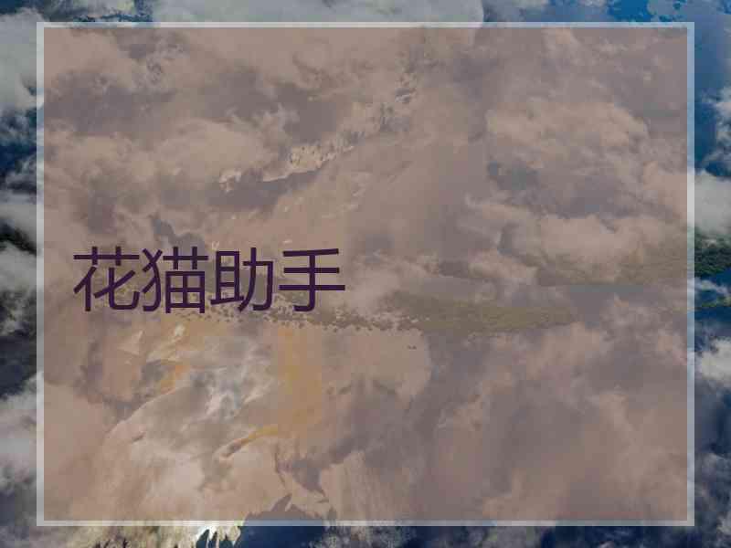 花猫助手