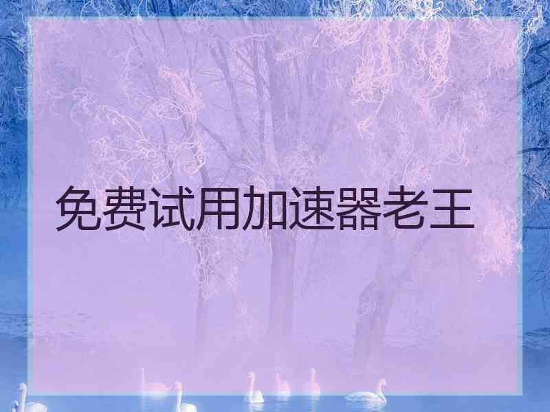 免费试用加速器老王