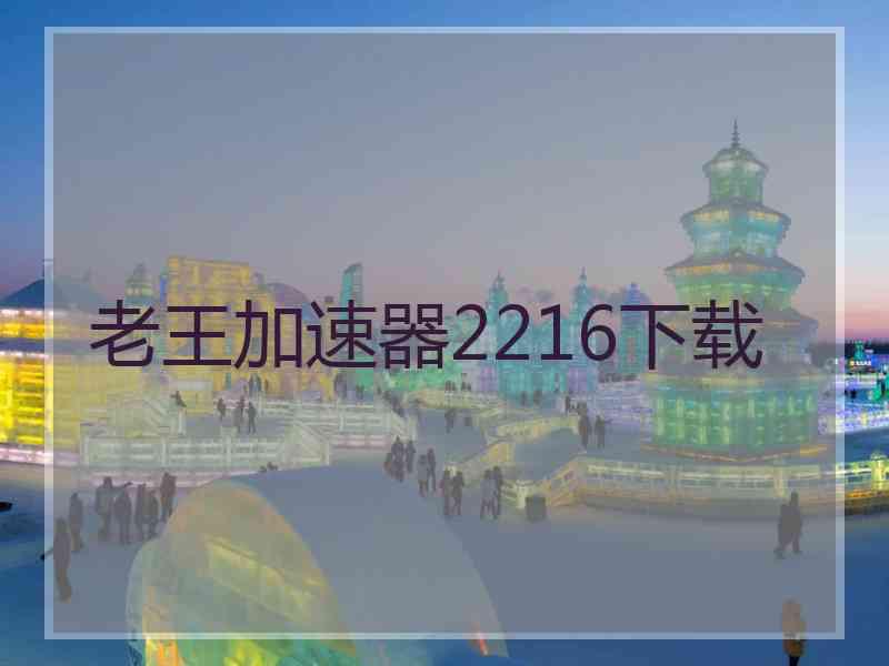 老王加速器2216下载