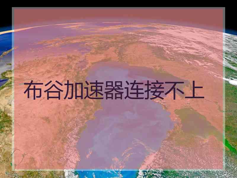 布谷加速器连接不上