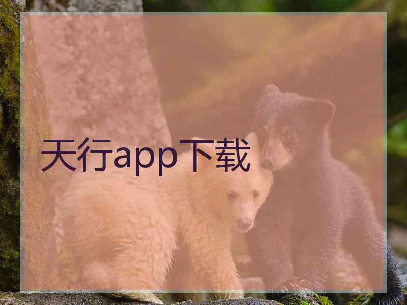 天行app下载