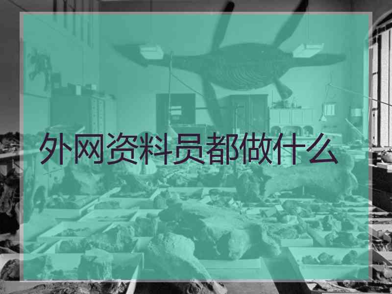 外网资料员都做什么