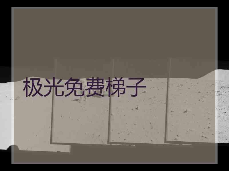 极光免费梯子