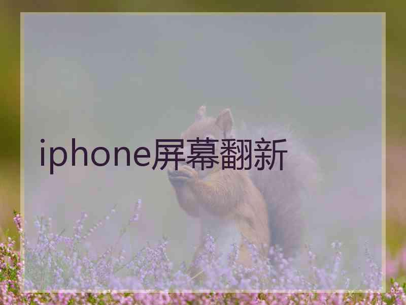 iphone屏幕翻新