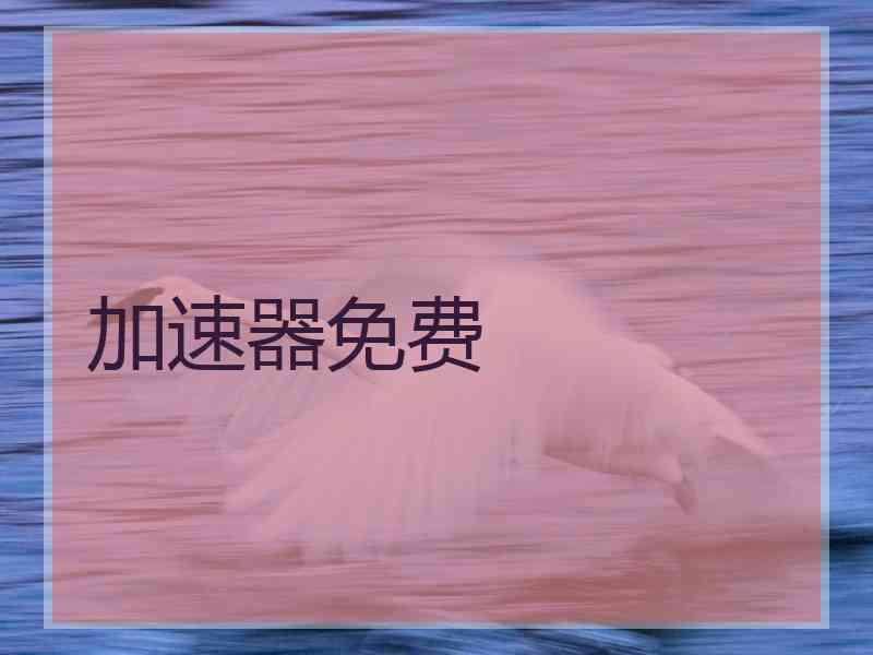 加速器免费