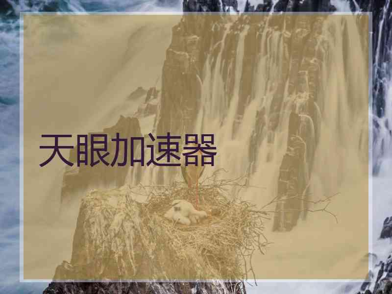 天眼加速器